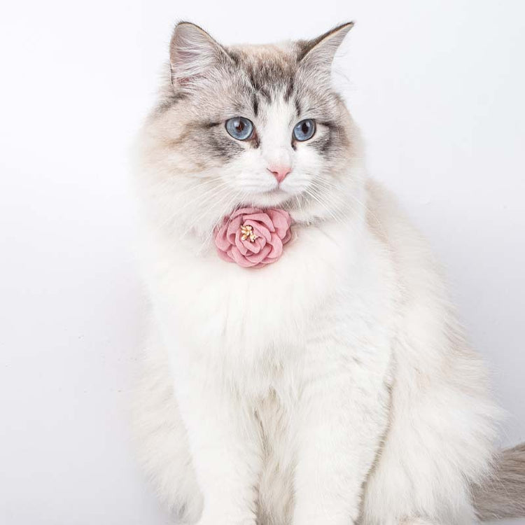 Cute Pet Flower design collar