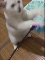Cat Toy Stick