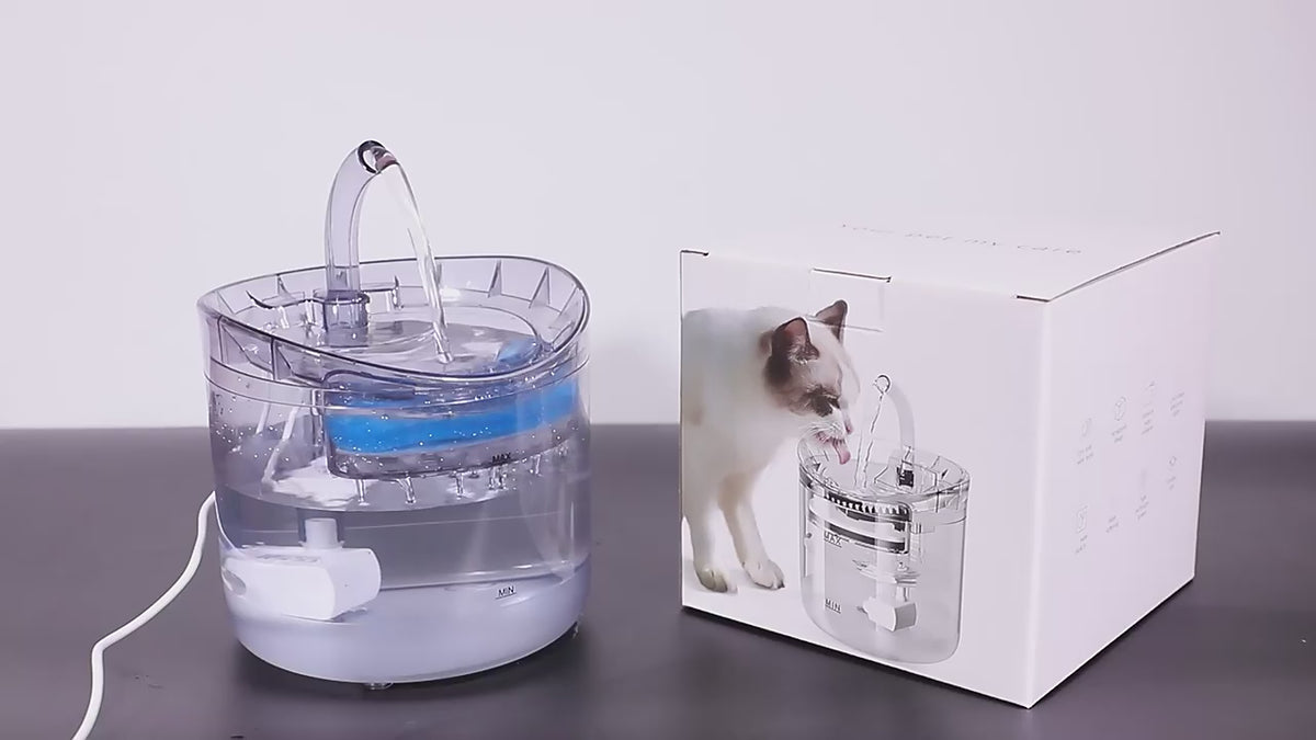 Pet water dispenser automatic cycle fountain