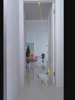 Cat toy hanging door retractable