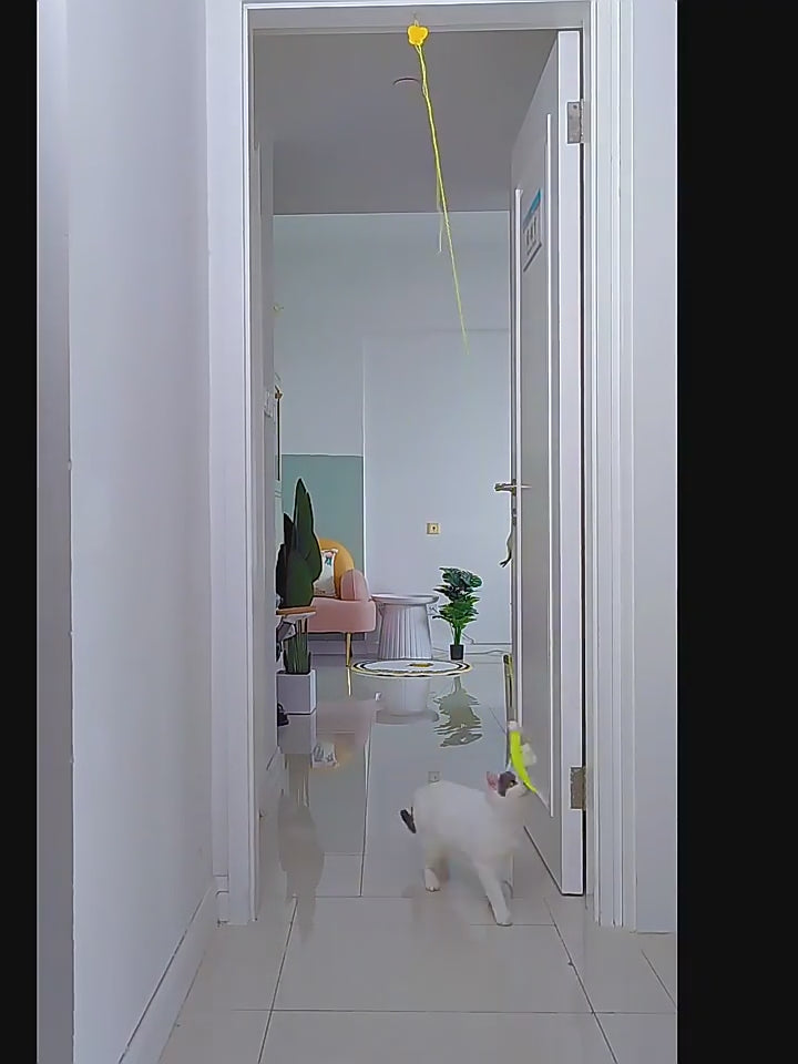 Cat toy hanging door retractable