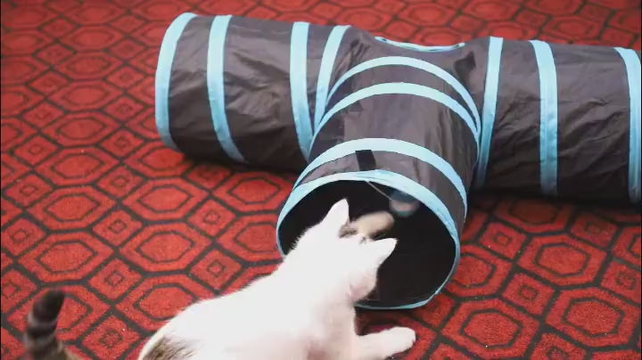 Cat runway rolling tunnel