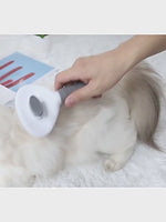 Pet Hair Comb Fine needle